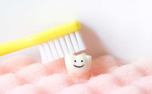 歯ブラシと歯の模型